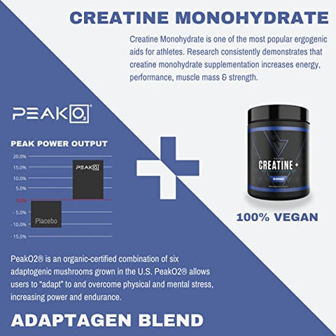 vedge - Vedge Nutrition Creatine em Pó | Creatina Vegana à Base de Plantas | Energia, Desempenho | 100% Natural | 300g