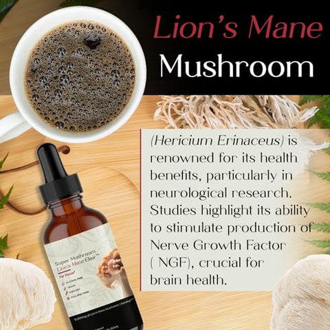 Lion’s Mane – Elixir Líquido para Memória e Foco com Cogumelos Funcionais – Extrato de Lion’s Mane em Espectro Completo – Sem GMO, Vegano – 100ml - Auri