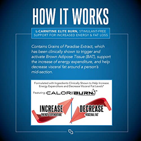 SIRENLABS - Siren Labs L-Carnitine Elite Burn – Queimador de Gordura e Ativador de Metabolismo – Suporte para Perda de Peso – Aumenta Energia – Livre de Estimulantes – Limão Limão 3000mg