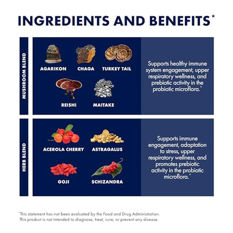 MycoBotanicals Immune* Pó – Pó para o Sistema Imunológico – Imunidade - Host Defense