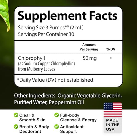 PureWise - Gotas Líquidas de Clorofila – Impulso Energético, Suporte Imunológico, Desodorante Interno, Poderoso Antioxidante, Digestão, Desintoxicação – 100% Natural, Não Transgênico, Vegano, Sabor Menta – Kit com 3