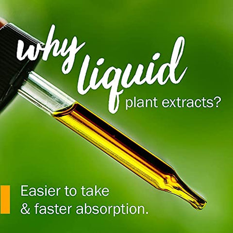 Extrato Líquido de Mirtilo para Suporte Ocular e Visual – 30ml - Herb Pharm