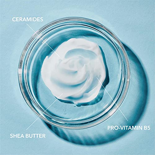 Hydra Therapy Loção de Banho, Hidratante para Pele Seca ou Extra-Seca, com Complexo Avançado de Ceramidas, 360 ml, Pacote com 2 unidades - Curel