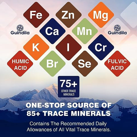 Guindila - Shilajit Puro do Himalaia – Suplemento 800mg com Máxima Potência e 85 Minerais Traços – Orgânico e Original do Himalaia