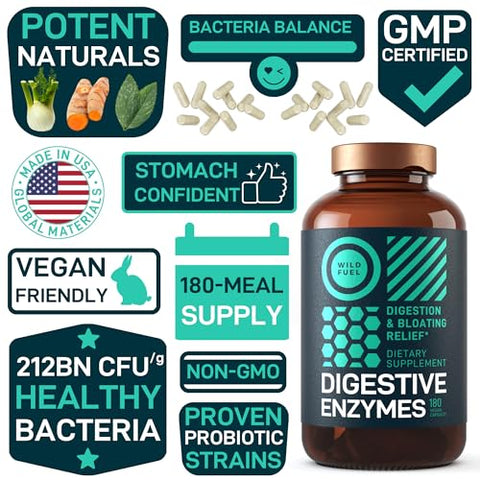 WILD FUEL - Enzimas Digestivas com Probióticos e Prebióticos – Saúde Intestinal, Digestão, Suplemento para SII com Alcachofra, Gengibre e Cúrcuma – Vegan Enzimas Probióticas para Saúde Digestiva e Redução de Inchaço