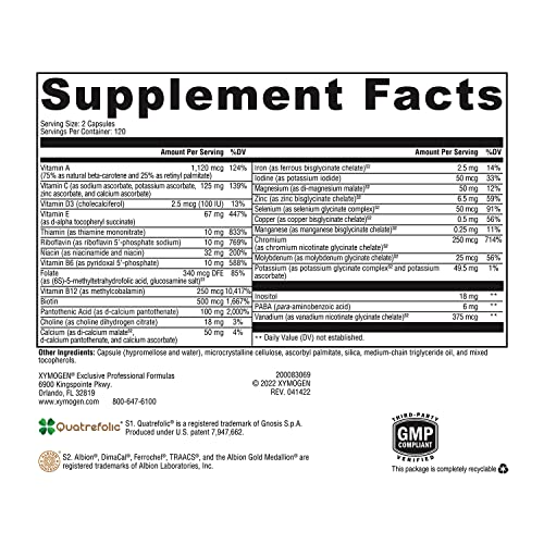 ActivNutrients com Ferro e Cobre – Multivitamínico Multimineral para Bem-Estar, Imunidade, Energia e Suporte ao Humor – Minerais Quelados, Vitaminas B Ativas com Ácido Fólico (240g) - XYMOGEN