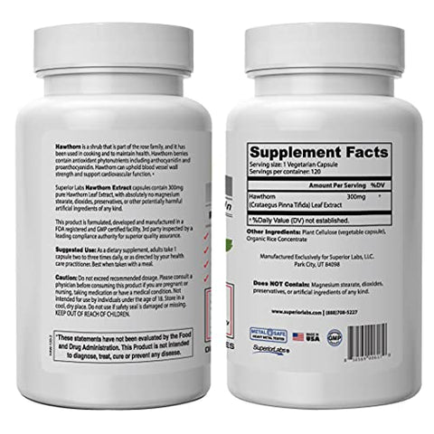 Melhor Suplemento de Vitamina de Espinheiro Branco Não Transgênico, Não Sintético – Dosagem de 300 mg, 120 Cápsulas Vegetais – Poderoso Antioxidante – Digestão Saudável – Circulação - Superior Labs