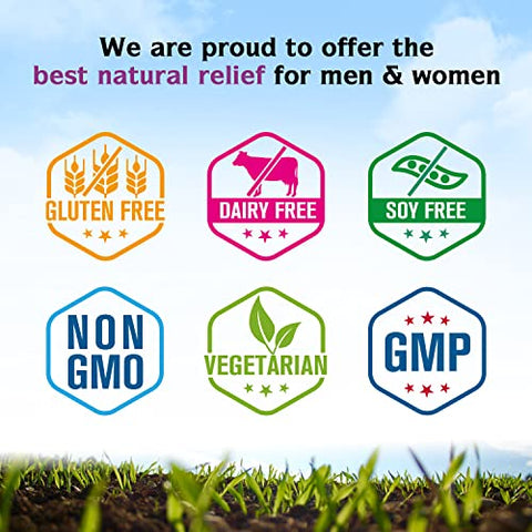 Suplemento de Cardo Mariano Orgânico, 9000mg Equivalente (300mg Extrato), 80%% Flavonoides de Silimarina, Saúde do Fígado, Desintoxicação - Innate Vitality