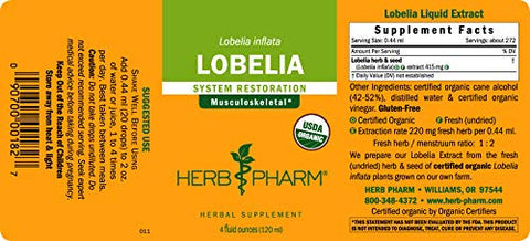 Extrato Líquido de Lobelia Orgânica Certificada para Suporte ao Sistema Musculoesquelético – 120 ml - Herb Pharm