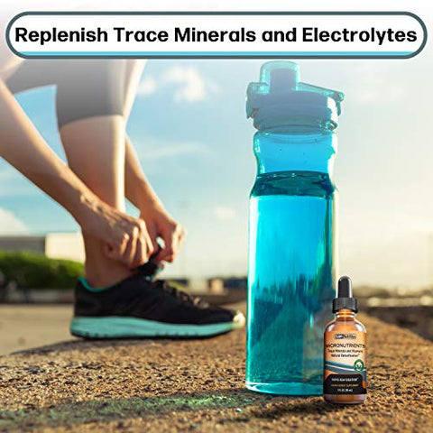 SBR Nutrition - PrimaVie Shilajit | Gotas Líquidas de Micronutrientes, Concentrado de Eletrólitos, Elementos Traços | Fulvic | 30ml