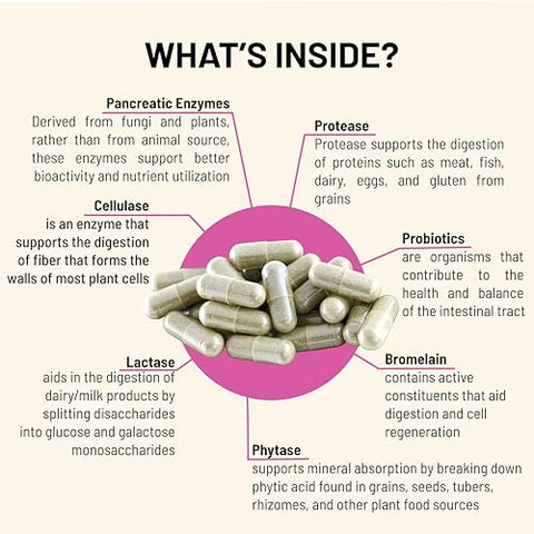 Digestive – Probióticos para Saúde Intestinal | 60 cápsulas | Fórmula avançada | Promove o equilíbrio da flora intestinal | Marca líder em saúde digestiva - Mountain Peak Nutritionals