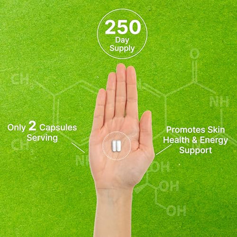 DEAL SUPPLEMENT - Vitamina B3 Nicotinamida 1.000mg Por Porção – 500 Cápsulas, Niacina Livre de Rubor, B3 Essencial – Suporta uma Pele Saudável