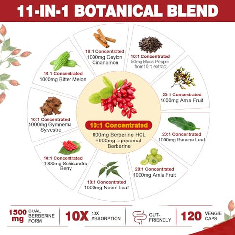 Nextdia - 2 Pack 1500mg Berberina Lipossomal – Potencialize sua saúde com a marca líder em Berberina