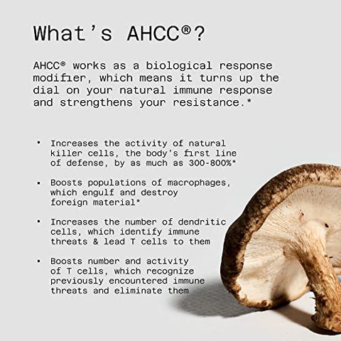 Quality of Life - Qualidade de Vida Premium Kinoko Platinum AHCC, 750mg de AHCC por Cápsula, para Suporte Imunológico, Função Hepática, Atividade Natural das Células Assassinas, 1 Pacote, 60 Cápsulas