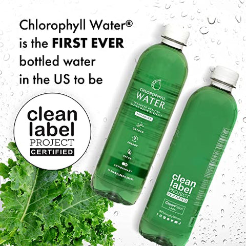 Chlorophyll Water - Água Purificada de Nascente de Montanha com Clorofila Líquida – 100% Natural e Refrescante