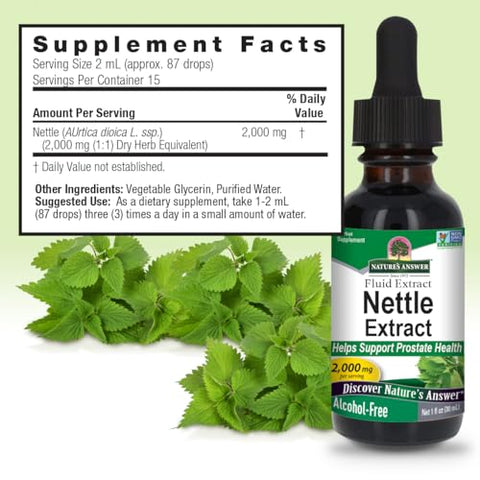 Nature's Answer - Nature’s Answer Extrato de Folha de Urtiga | Suporte à Função da Próstata | Suplemento Herbal Concentrado de Folha de Urtiga Verde Escura | Não-OGM, Kosher, Livre de Glúten