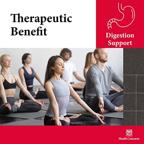 Health Concerns - Quiet Digestion – Suplemento para Digestão Saudável | Saúde Digestiva | 60 cápsulas | Marca