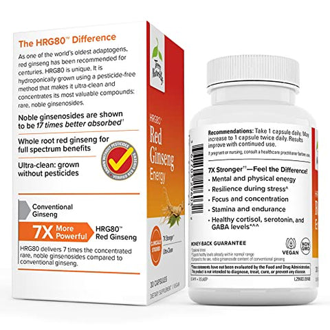HRG80 Ginseng Vermelho Energético – 30 Cápsulas – Pó de Raiz de Ginseng Vermelho, Panax Ginseng, HRG80 – Não-OGM, Vegano, Sem Glúten – 30 Porções - Terry Naturally