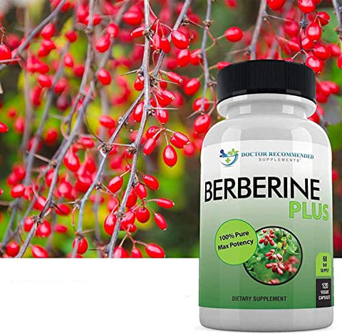 DOCTOR RECOMMENDED SUPPLEMENTS - Berberine Plus 1200mg – 120 Cápsulas Vegetais com Geléia Real, Fortalece o Sistema Imunológico e Melhora a Saúde Cardiovascular
