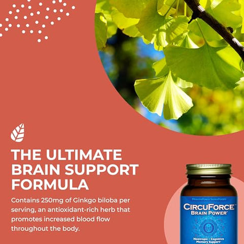 HEALTHFORCE SUPERFOODS - HealthForce SuperFoods CircuForce Brain Power – 90 VeganCaps: Potencialize seu cérebro com este poderoso suplemento vegano