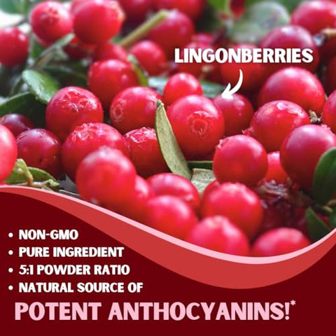 Nutriheim - Pó de Lingonberry 7500mg para Trato Urinário, Circulação Sanguínea, Saúde Intestinal, Saúde Ocular, Suporte Antioxidante – Puro Relação 5:1