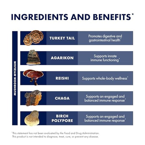 MycoShield Spray de Garganta – Suporte à Saúde Imunológica – Suplemento Alimentar de Cogumelos com Chaga, Reishi, Turkey Tail – 30ml - Host Defense