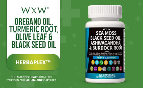 Sea Moss, Óleo de Semente Negra, Ashwagandha – Benefícios Naturais para Saúde e Bem-Estar | WXW® - WXW