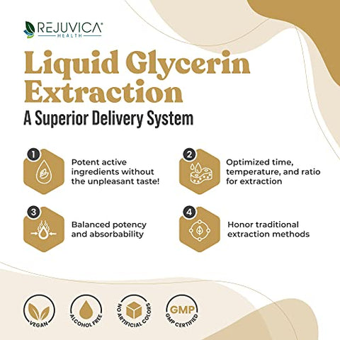 Active Maca – Extrato Avançado de Raiz de Maca – Ginseng Peruano – Entrega Líquida para Melhor Absorção – Suporta Energia - Rejuvica Health