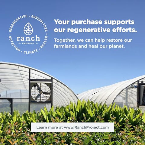 Cápsulas de Cúrcuma da Ancient Nutrition, Diário, Suplemento para Articulações e Suporte à Inflamação, Sem Glúten, Amigável para Paleo e Keto, 30 Tabletes