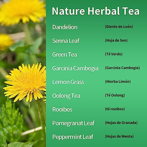 Te de Diente de Leon 30 Dias de Desintoxicação Chá de Dente de Leão, Chá de Ervas Naturais Herbmood para Perder Peso, 30 Unidades (Pacote com 2)