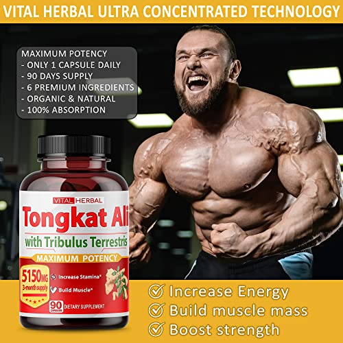 VITAL HERBAL - Ultra Cápsulas de Extrato de Tongkat Ali Equivalente a 5150mg – Máxima Potência com Ashwagandha Tribulus Terrestris Ginseng Horny Goat Weed para Homens Mulheres – Aumente a Energia Construa