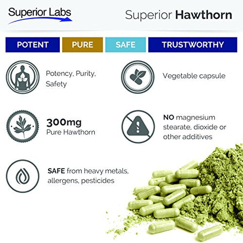 Melhor Suplemento de Vitamina de Espinheiro Branco Não Transgênico, Não Sintético – Dosagem de 300 mg, 120 Cápsulas Vegetais – Poderoso Antioxidante – Digestão Saudável – Circulação - Superior Labs