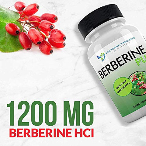 DOCTOR RECOMMENDED SUPPLEMENTS - Suplementos Recomendados por Médicos: Berberina Plus 1200mg por Porção – 120 Cápsulas Vegetais com Geleia Real