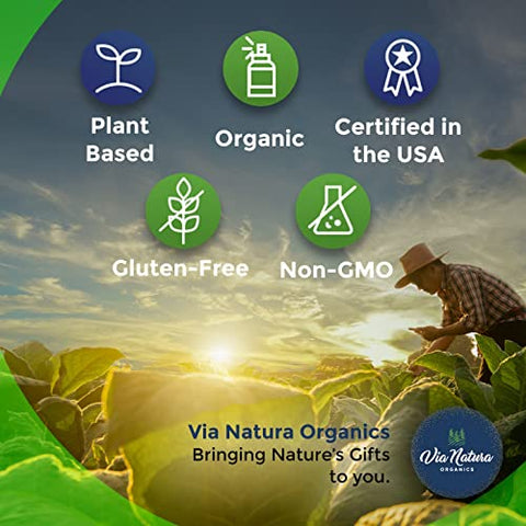 Via Natura Organics - Cápsulas de Sabugueiro 1000mg | Suplemento Herbal Orgânico | 120 Cápsulas