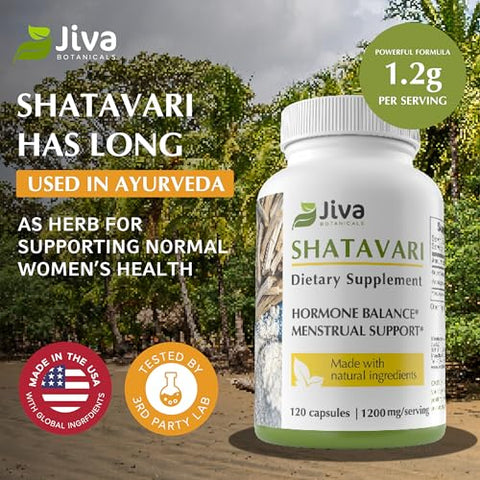 Cápsulas de Shatavari 1200 Mg – Suplemento de Extrato de Raiz de Shatavari em Pó – Apoio à Saúde Normal das Mulheres – Feito com Raízes de Asparagus Racemosus – 120 Cápsulas - Jiva Botanicals