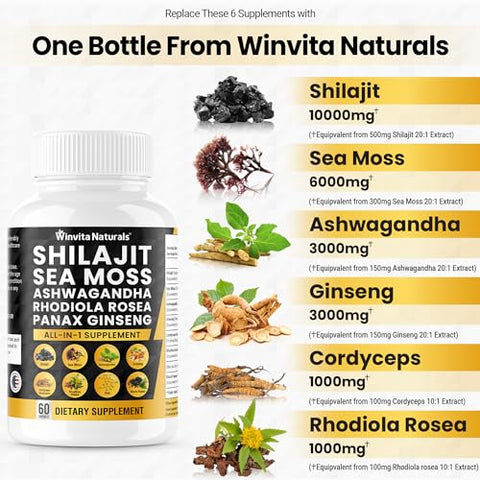 Winvita Naturals - Shilajit Puro Himalaia Orgânico 10.000mg Sea Moss 6000mg Ashwagandha 3000mg Panax Ginseng 3000mg Cordyceps Rhodiola Rosea 1000mg Zinco, Ácido Fúlvico