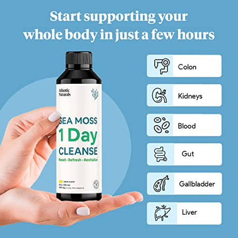 Atlantic Naturals - Desintoxicação Completa do Corpo com Sea Moss 1 Day Cleanse | Apoio Intestinal, Renal, Hepático, Imunológico e Energético | 240 ml