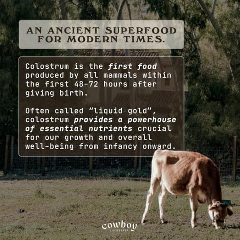 COWBOY COLOSTRUM - Pó de Colostro Bovino – O Exclusivo Primeiro Leite Materno Integral – Suplemento de Colostro Alimentado com Grama para Saúde Intestinal, Imunidade e Pele