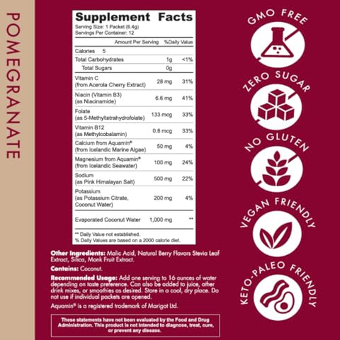 Electrolyte Powder: Hidratação Zero Açúcar | Potencializado com Alga Marinha Islandesa | Sabores Naturais | Keto | 100g - Holistix