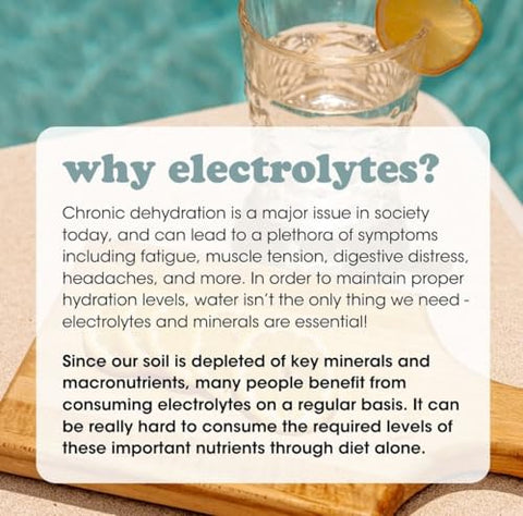 Electrolyte and Mineral Mix: Sal Marinho Puro do Oceano para Reidratação, Cloreto de Potássio, Malato de Magnésio para Tensão Muscular, Minerais Traços Essenciais, Sem Sabor, 30g - Fringe