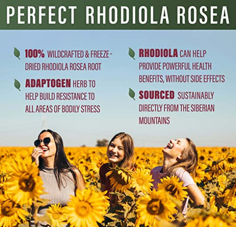 Perfect Supplements - Rhodiola Rosea Perfeita para Melhor Foco, Energia e Alívio do Estresse – 3%% Rosavinas Ótimas para 1%% Salidroside, um Adaptógeno Natural ~60 Cápsulas Vegetais