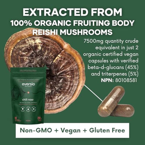 Eversio Wellness - CHILL Now – Suplemento Orgânico de Cogumelo Reishi – Extrato Dual 15:1 em 60 Cápsulas Veganas (250mg)