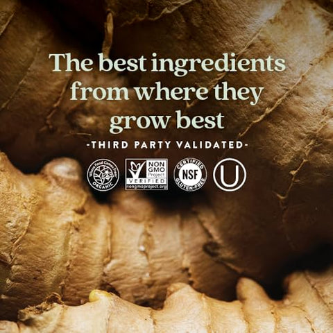 Vitamin B Complex – Complexo de Coenzima B Fermentado Rico em Vitamina B12, Vitamina B6, Biotina – Ingredientes Orgânicos – 90 ct - New Chapter