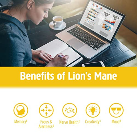 Mushroom Superfood – Cápsulas de Cogumelo do Leão, 180 Unidades, 60 Dias, Suplemento para Memória, Foco, Clareza e Saúde Nervosa - OM