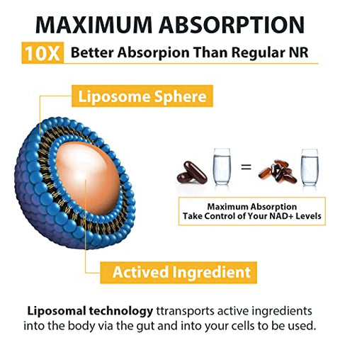 Orgabay - Liposomal Nicotinamida Ribosídeo 2000 MG com TMG e Pterostilbeno, Aumentando NAD, Apoio ao Envelhecimento Saudável, 480 Unidades