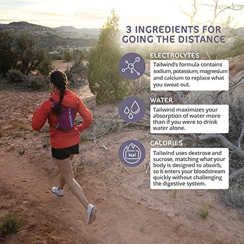 Endurance Fuel: Pó para Bebida Esportiva de Única Porção com Eletrólitos, Sem Transgênicos, Livre de Soja, Laticínios e Glúten, Vegano, Sabor de Frutas Vermelhas, Embalagem com 12 Unidades - Tailwind Nutrition