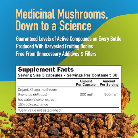 Mushroom Science - Cápsulas de Cogumelo Chaga MushroomScience, Extrato de Espectro Completo, Suplemento Natural Antioxidante para Adultos, Suporte à Saúde, Cogumelos Extraídos em Água Quente, Vegetariano, 60g