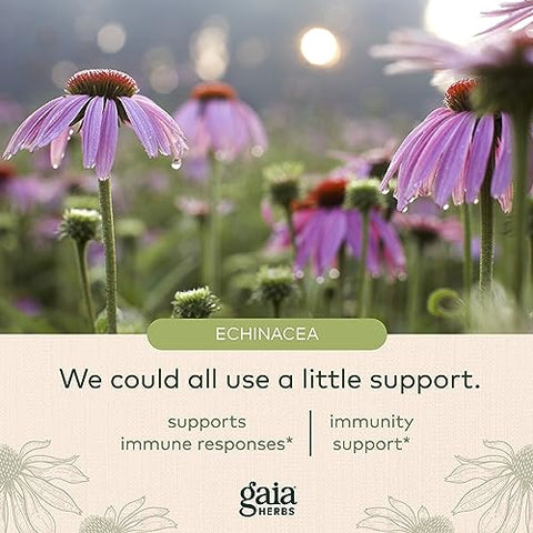Echinacea Supreme – Suporte Imunológico – Mistura de Echinacea Purpurea e Echinacea Angustifolia para Fortalecer o Sistema Imunológico – 30 Cápsulas Líquidas Veganas de Fitoterapia (15 Dias) - Gaia Herbs