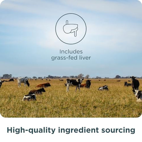 Suplementos de Órgãos Diários em Cápsulas Complexas de Órgãos de Gado Alimentado com Capim e Selvagem, Beef, 60g - Ancient Nutrition