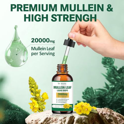 Totaria - Gotas de Mullein para os Pulmões – Taxa de Absorção de 98% – 20000mg de Folha de Mullein Pura por Porção – Mullein Orgânico para Desintoxicação Pulmonar